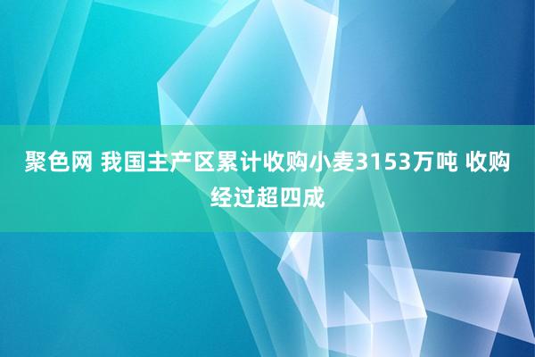 聚色网 我国主产区累计收购小麦3153万吨 收购经过超四成