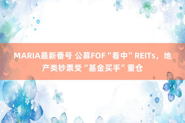 MARIA最新番号 公募FOF“看中”REITs，地产类钞票受“基金买手”重仓