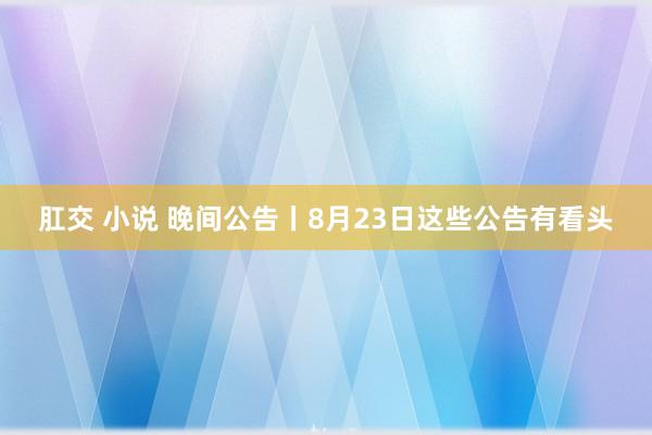 肛交 小说 晚间公告丨8月23日这些公告有看头