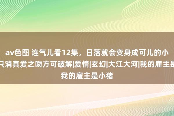 av色图 连气儿看12集，日落就会变身成可儿的小猪，只消真爱之吻方可破解|爱情|玄幻|大江大河|我的雇主是小猪