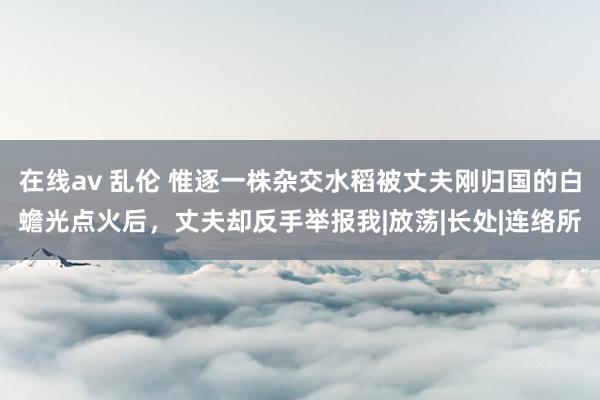 在线av 乱伦 惟逐一株杂交水稻被丈夫刚归国的白蟾光点火后，丈夫却反手举报我|放荡|长处|连络所