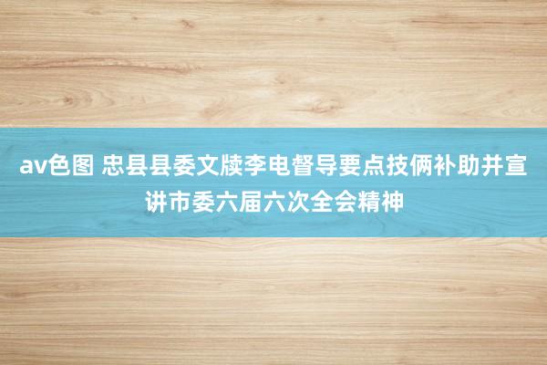 av色图 忠县县委文牍李电督导要点技俩补助并宣讲市委六届六次全会精神