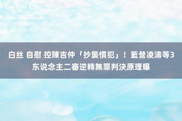 白丝 自慰 控陳吉仲「抄襲慣犯」！藍營凌濤等3东说念主二審逆轉無罪　判決原理曝