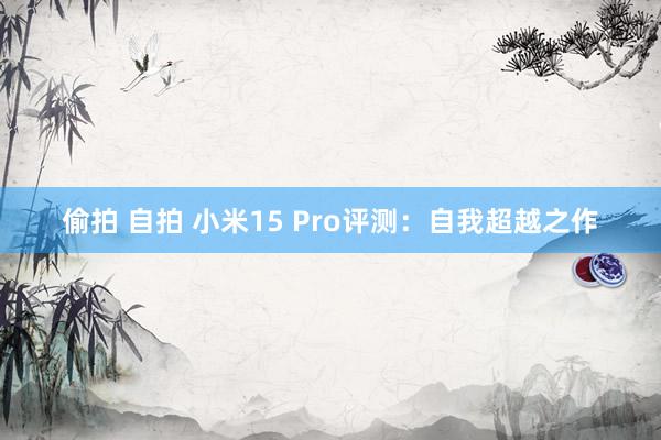 偷拍 自拍 小米15 Pro评测：自我超越之作