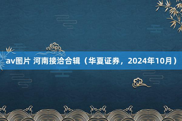 av图片 河南接洽合辑（华夏证券，2024年10月）