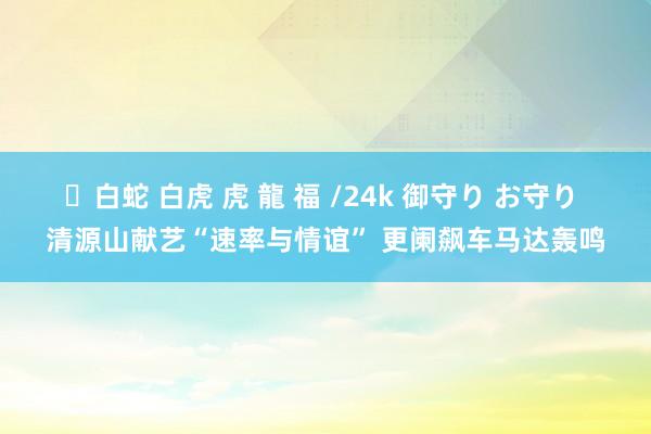 ✨白蛇 白虎 虎 龍 福 /24k 御守り お守り 清源山献艺“速率与情谊” 更阑飙车马达轰鸣