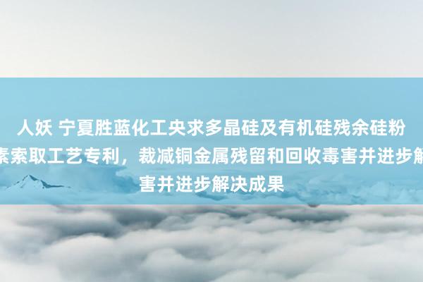 人妖 宁夏胜蓝化工央求多晶硅及有机硅残余硅粉中铜元素索取工艺专利，裁减铜金属残留和回收毒害并进步解决成果